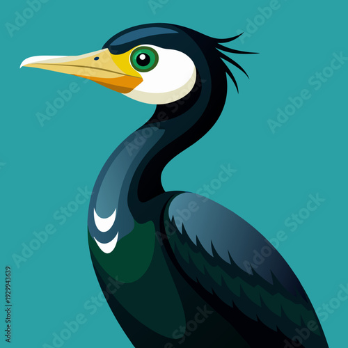 Cormoran déployant ses ailes pour sécher