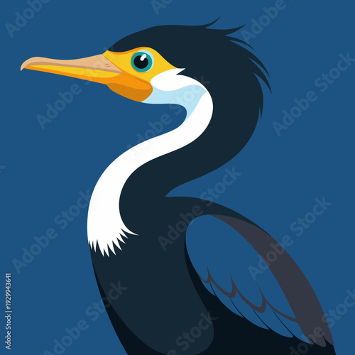 Cormoran déployant ses ailes pour sécher