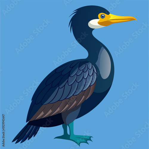 Cormoran déployant ses ailes pour sécher