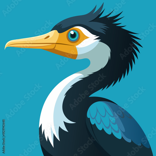 Cormoran déployant ses ailes pour sécher