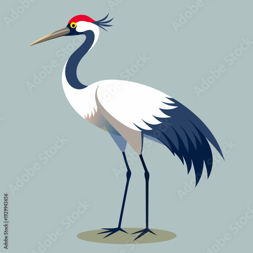 Heron Bird with Long Legs and Beak Standing Vector Illustration