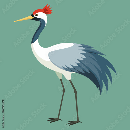 Heron Bird with Long Legs and Beak Standing Vector Illustration