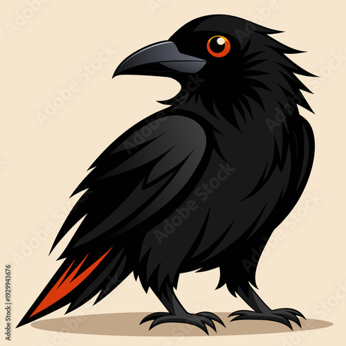 Un beau corbeau Corvus corax, oiseau Nord Pologne Europe