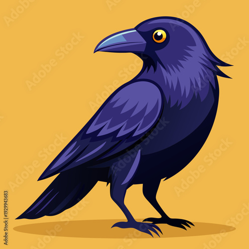 Un beau corbeau Corvus corax, oiseau Nord Pologne Europe