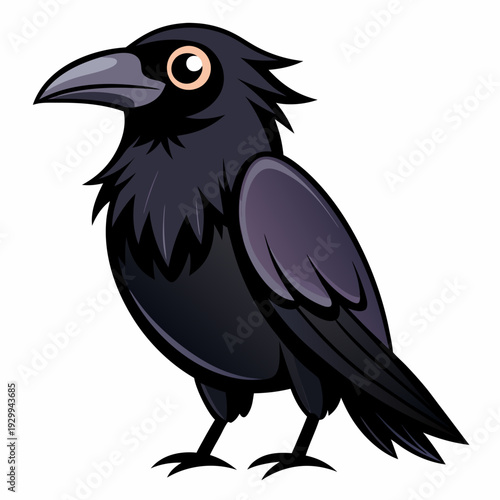 Un beau corbeau Corvus corax, oiseau Nord Pologne Europe