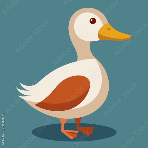 Illustration des canards sur l’eau