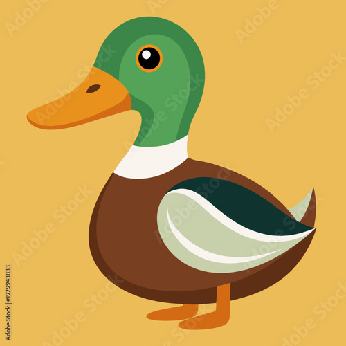 Illustration des canards sur l’eau