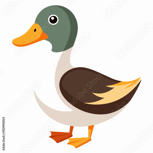 Illustration des canards sur l’eau