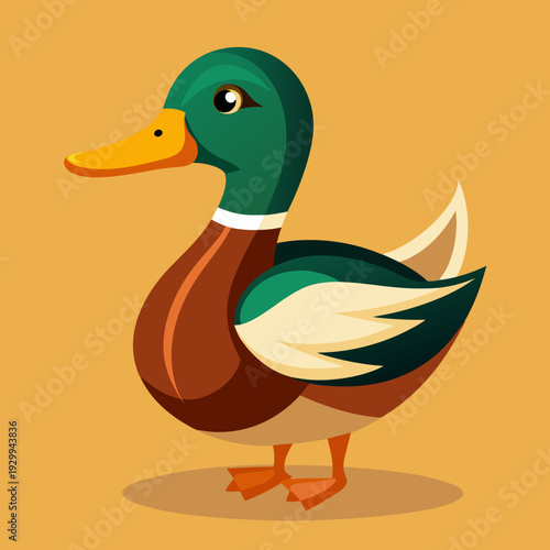Illustration des canards sur l’eau