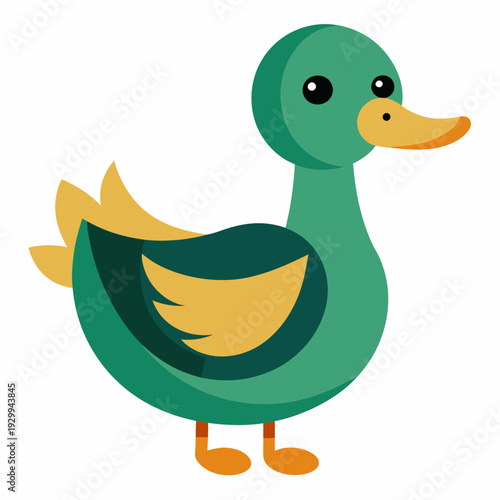 Illustration des canards sur l’eau