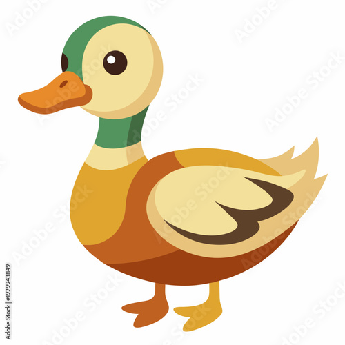 Illustration des canards sur l’eau