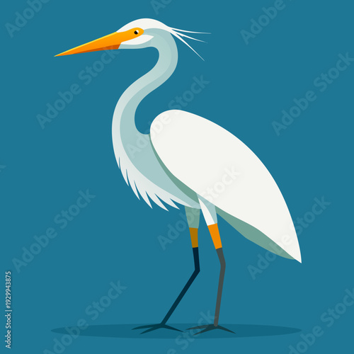 Une grande aigrette blanche dans les marécages du delta du Danube