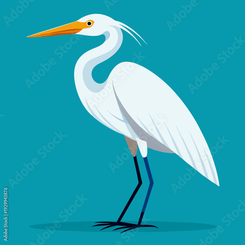 Une grande aigrette blanche dans les marécages du delta du Danube