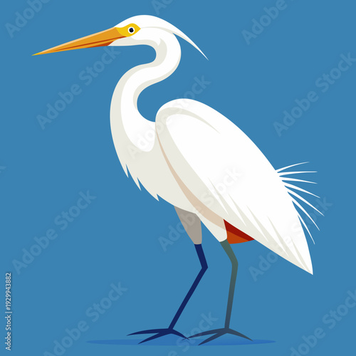 Une grande aigrette blanche dans les marécages du delta du Danube