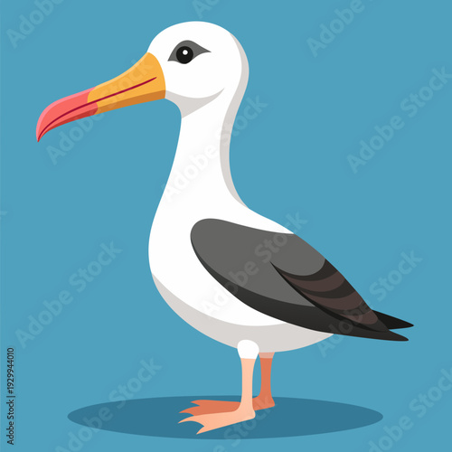 Albatros de Buller du Sud, océan Pacifique, Australie