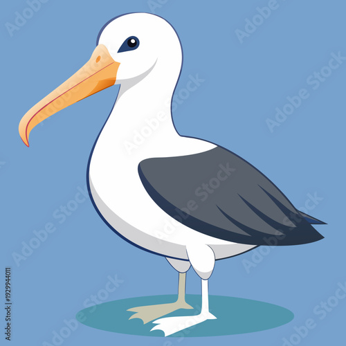 Albatros de Buller du Sud, océan Pacifique, Australie