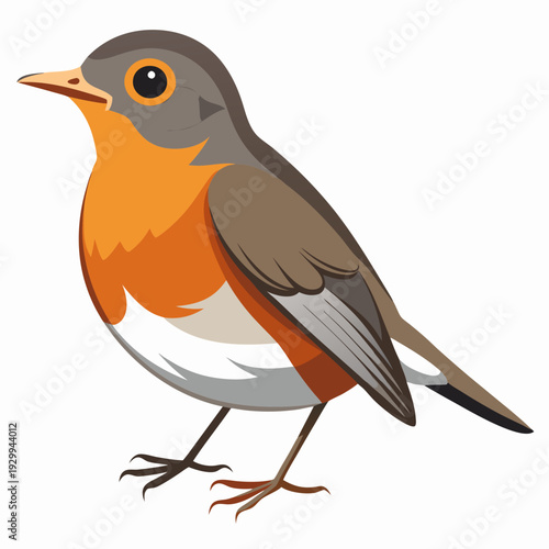 Merle d’Amérique perché sur un arbre au plumage vibrant dans le bois.