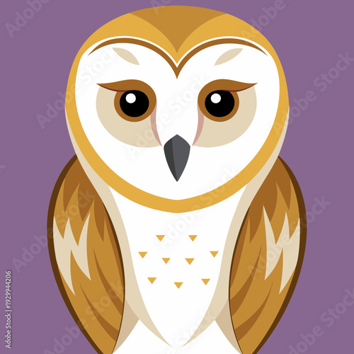 Effraie des clochers au crépuscule chasse pour une proie