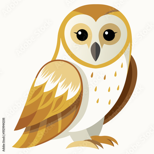 Effraie des clochers au crépuscule chasse pour une proie