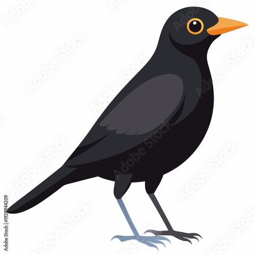 Un oiseau noir mâle en Angleterre