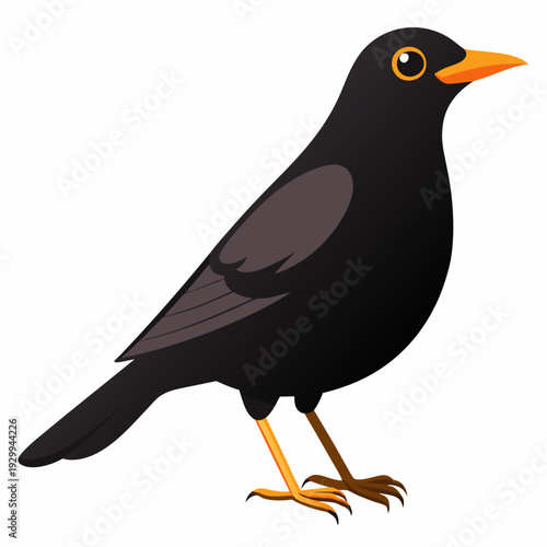 Un oiseau noir mâle en Angleterre