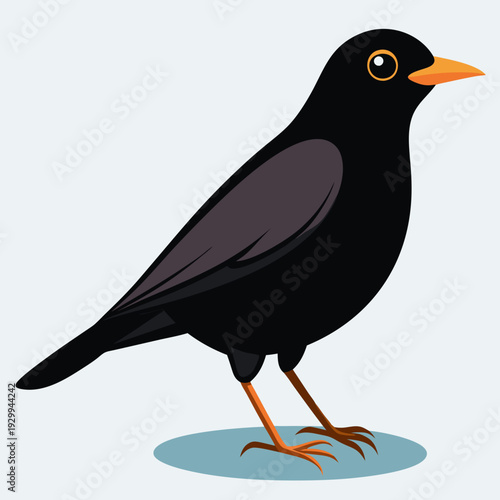 Un oiseau noir mâle en Angleterre