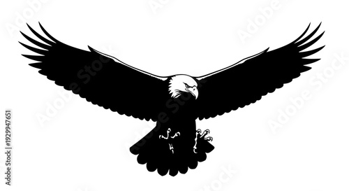 Majestic eagle soaring with outstretched wings against a white backdrop.