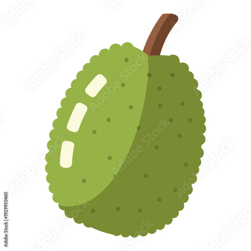 Flat Breadfruit Vector Illustration Isolated on White Background