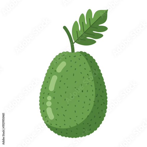 Flat Breadfruit Vector Illustration Isolated on White Background