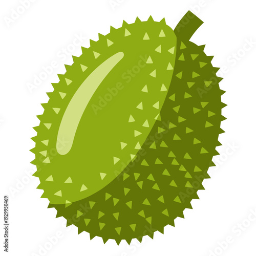 Flat Breadfruit Vector Illustration Isolated on White Background