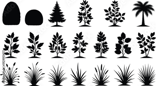Tree and shrub silhouette collection featuring forest trees, garden plants and ornamental grasses in black and white vector illustration set for landscape design
