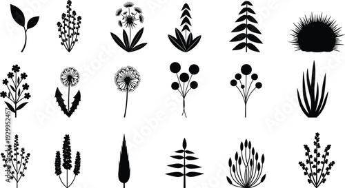 Wildflower and plant silhouette set featuring botanical floral elements in black and white vector illustration collection for nature design and decorative graphics