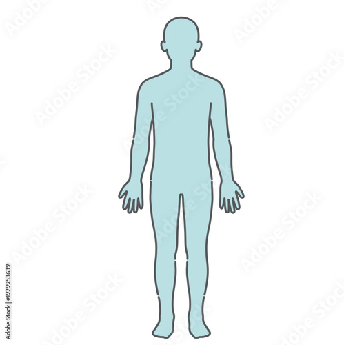 人体図・全身シルエットのベースイラスト（男性・正面）