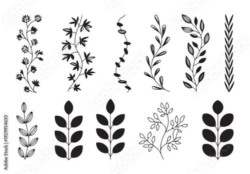 Set of 10 black and white hand drawn floral branches, leaves and botanical elements, vector art