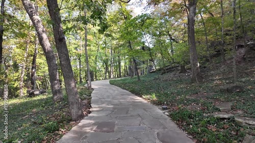 Wallpaper Mural Modern glass structure nestled among tall forest trees. Torontodigital.ca