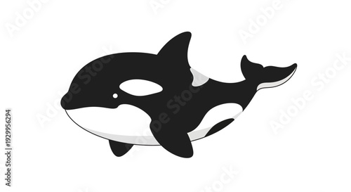 Orca illustration, vector style graphic, aquatic animal design, marine life concept, isolated image