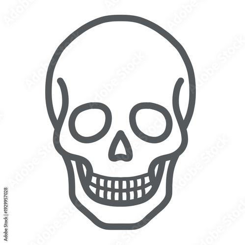 頭蓋骨のイラスト（正面・線画）