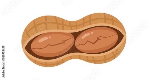 peanut illustration, vector style graphic, food design, healthy eating, snack, isolated image