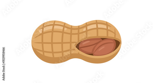 peanut image, photography, isolated on white, healthy food, snack, groundnut, shell, macro