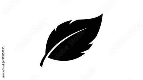 Black Leaf Silhouette Simple Illustration Design.