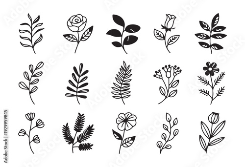 Variety of hand drawn botanical elements including leaves, flowers and buds for decoration