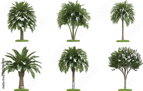 Collection of tropical palm trees and leafy green tree varieties isolated vector illustration set featuring different plant species for landscape design, s