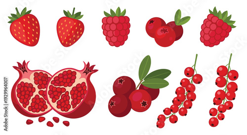 A collection of red berries and fruits including strawberries and pomegranate halves is illustrated in a flat vector style on a white background.