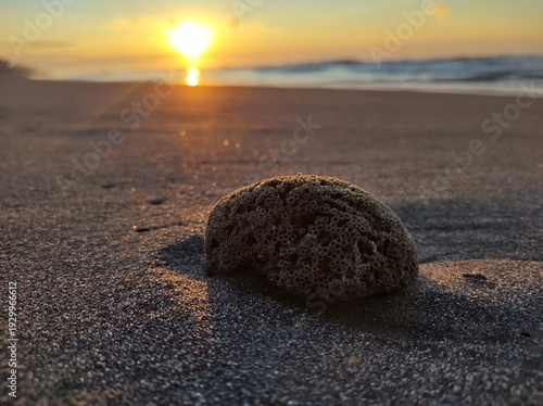 esponja en el amanecer