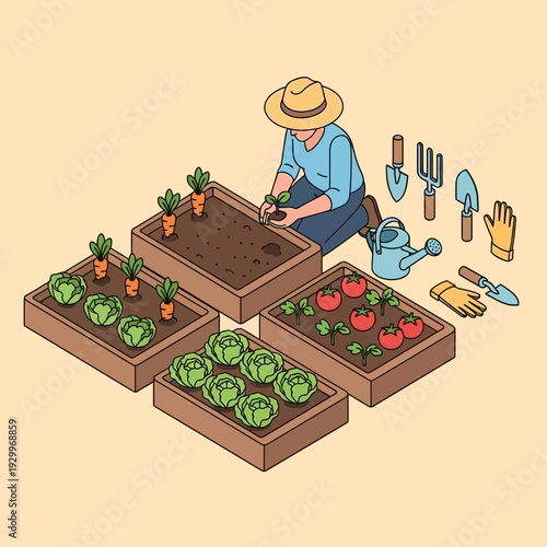 Gardener tending to various vegetable plants in raised garden beds.