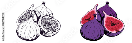 Close-up view of contrast figs illustration with cut interior, black‑white and color sections on plain background