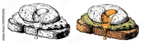 Eggs on Toast Illustrations, a Simple yet Appetizing Breakfast Scene Depicted from a Top-Down Viewpoint