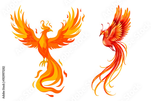 Phoenix Illustration Vector Set Aesthetic Graphic Resource Isolated Background Symbol Design Cut Out Sticker Icon Label Collection