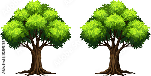 Lush Green Deciduous Tree with Thick Foliage and Strong Trunk on a White Background Vector Illustration for Nature, Forest, and Environment Projects