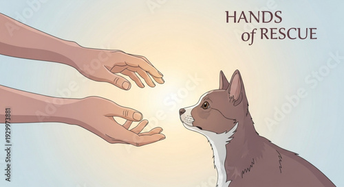 Rescue hands helping a dog in need symbolizing animal care and compassion